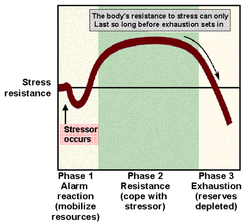 Stress Adaptation